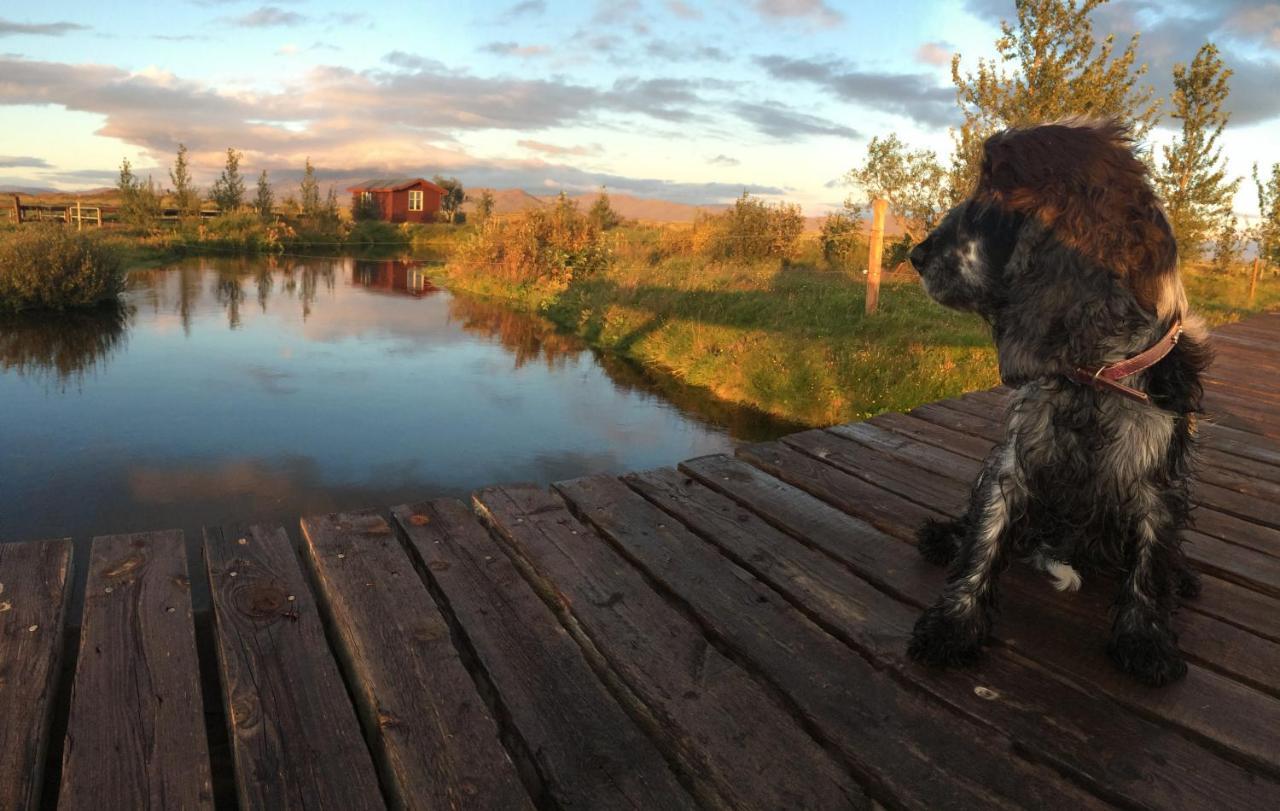 Foegruvallakot Cabin Хелла Экстерьер фото